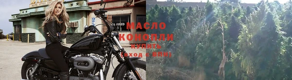 гашик Переславль-Залесский