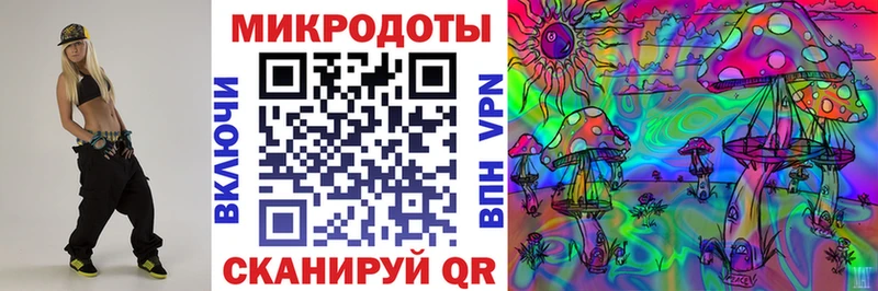 Галлюциногенные грибы Magic Shrooms  сколько стоит  Болохово 